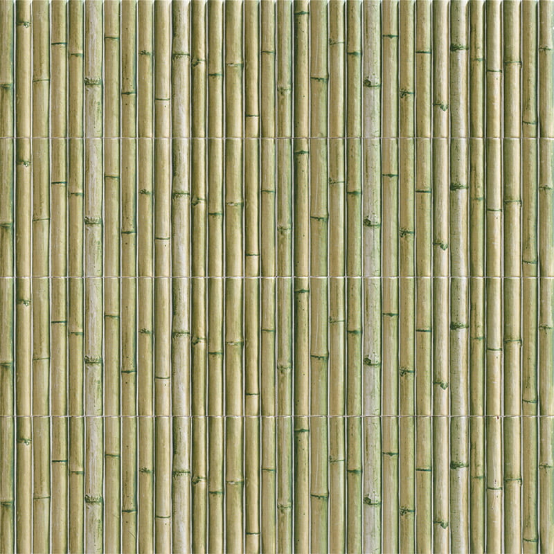 BAMBOU VERT