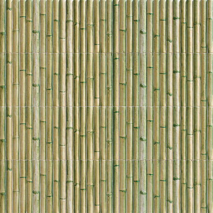 BAMBOU VERT